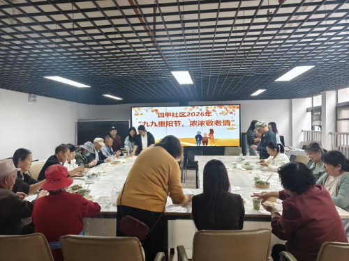 图片10