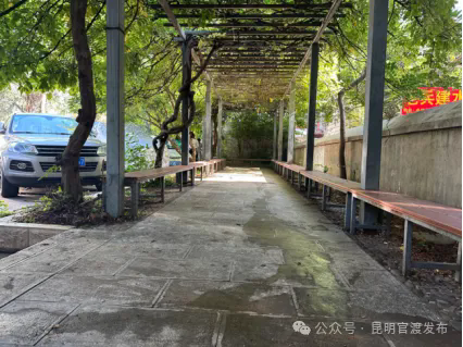 640.webp (4)